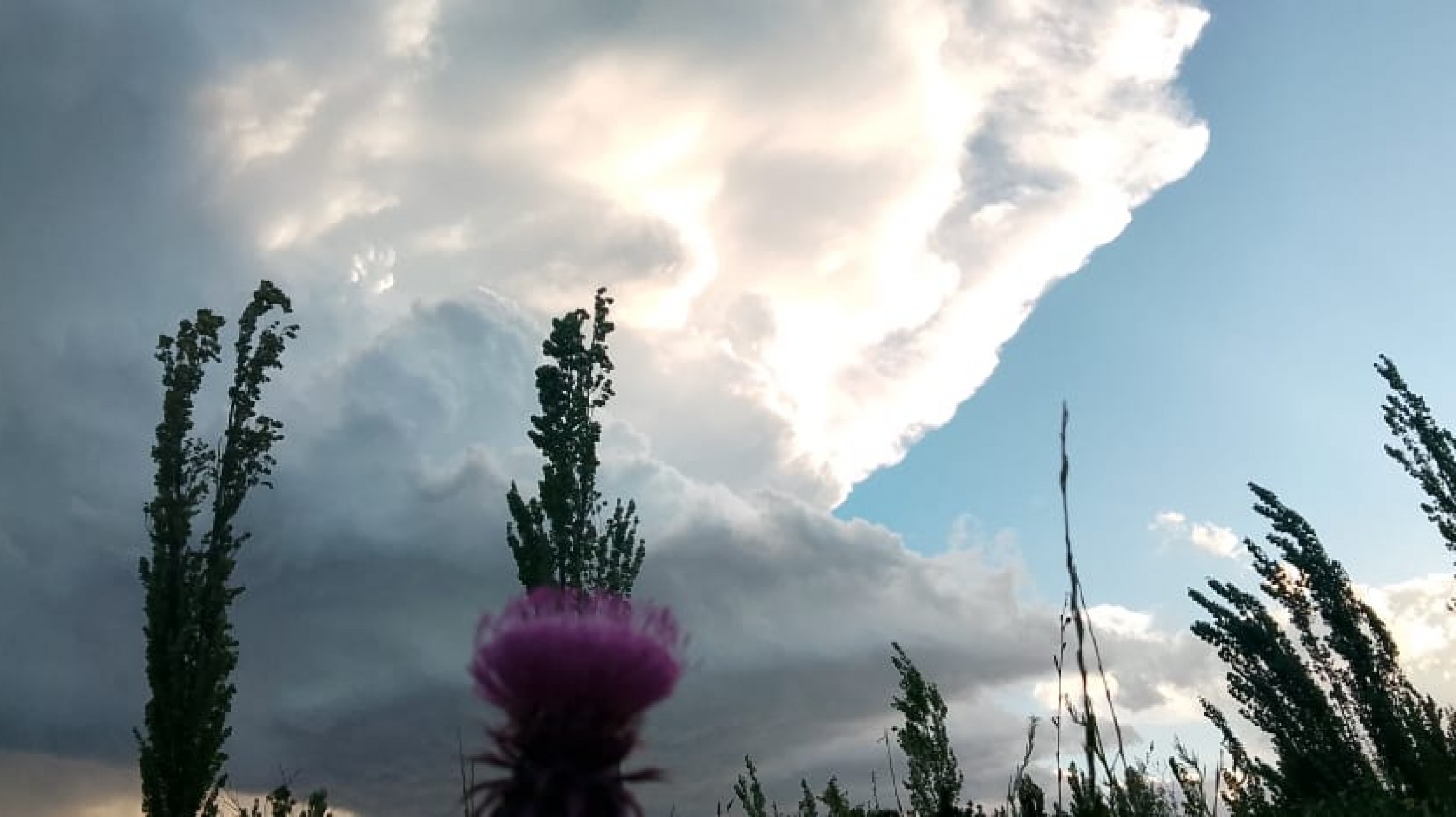 Jornada ventosa con alerta por tormentas en algunas zonas